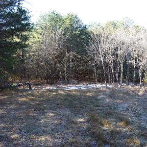 Photo #8 of 1344-1540 NC Highway 89, Danbury, NC 219.0 acres