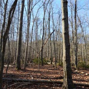 Photo #2 of 1010-1372 Hanging Rock Park, Danbury, NC 118.0 acres