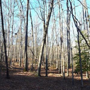 Photo #1 of 1010-1372 Hanging Rock Park, Danbury, NC 118.0 acres