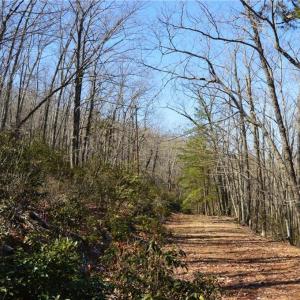 Photo #10 of 1010-1372 Hanging Rock Park, Danbury, NC 118.0 acres