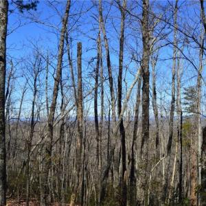 Photo #11 of 1010-1372 Hanging Rock Park, Danbury, NC 118.0 acres