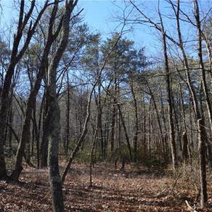 Photo #4 of 1010-1372 Hanging Rock Park, Danbury, NC 118.0 acres