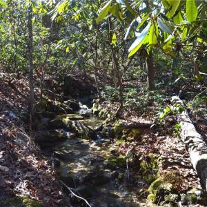 Photo #9 of 1010-1372 Hanging Rock Park, Danbury, NC 118.0 acres
