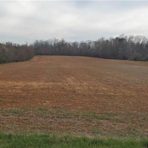 Photo #6 of Sells Farm, Winston-Salem, NC 25.0 acres
