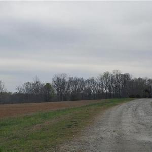 Photo #5 of Sells Farm, Winston-Salem, NC 25.0 acres
