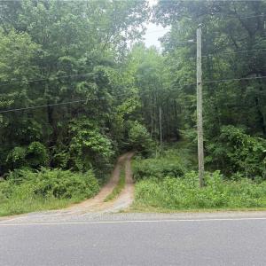 Photo #3 of 505 Pleasant Hill Church, Siler City, NC 10.0 acres