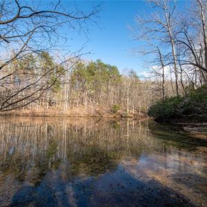 Photo #3 of Lot 38 Lake Shore, Yanceyville, NC 4.6 acres