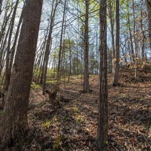 Photo #18 of Lot 38 Lake Shore, Yanceyville, NC 4.6 acres