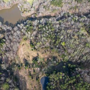 Photo #8 of Lot 38 Lake Shore, Yanceyville, NC 4.6 acres