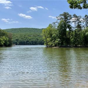 Photo #3 of 345 Emerald Isle, Lexington, NC 1.1 acres