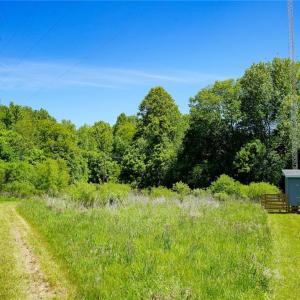 Photo #17 of 48.48 Acres Valley, Winston-Salem, NC 48.5 acres