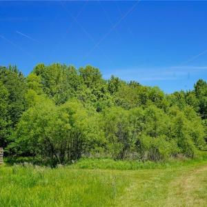 Photo #16 of 48.48 Acres Valley, Winston-Salem, NC 48.5 acres