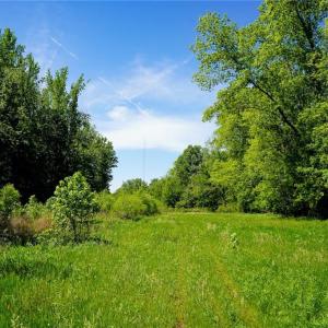 Photo #22 of 48.48 Acres Valley, Winston-Salem, NC 48.5 acres