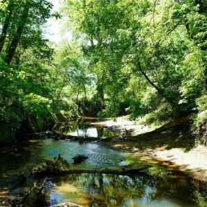 Photo #28 of 48.48 Acres Valley, Winston-Salem, NC 48.5 acres