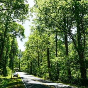Photo #9 of 48.48 Acres Valley, Winston-Salem, NC 48.5 acres