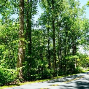Photo #10 of 48.48 Acres Valley, Winston-Salem, NC 48.5 acres