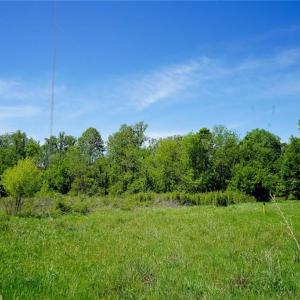 Photo #19 of 48.48 Acres Valley, Winston-Salem, NC 48.5 acres