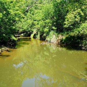 Photo #29 of 48.48 Acres Valley, Winston-Salem, NC 48.5 acres