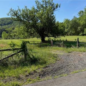 Photo #6 of 1155 Holly Grove, Lambsburg, VA 63.3 acres