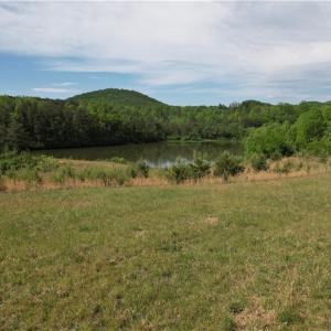 Photo #12 of 1155 Holly Grove, Lambsburg, VA 63.3 acres