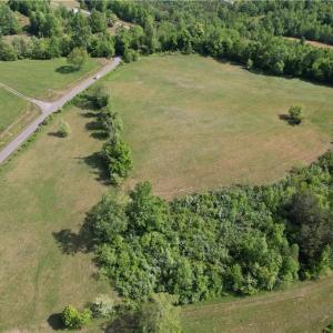 Photo #7 of 1155 Holly Grove, Lambsburg, VA 63.3 acres