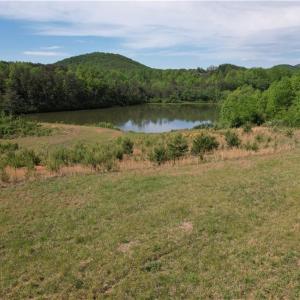 Photo #1 of 1155 Holly Grove, Lambsburg, VA 63.3 acres