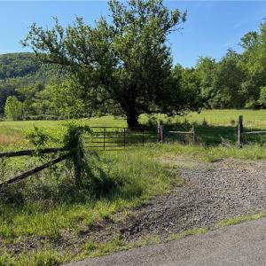 Photo #5 of 1155 Holly Grove, Lambsburg, VA 63.3 acres