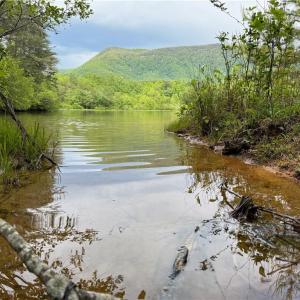 Photo #10 of 1155 Holly Grove, Lambsburg, VA 63.3 acres