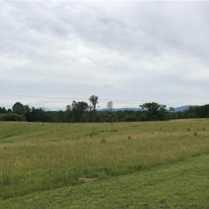 Photo #5 of NC Highway 89, Francisco, NC 11.7 acres