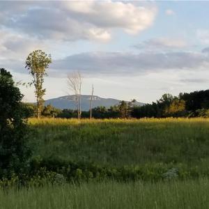 Photo #2 of NC Highway 89, Francisco, NC 11.7 acres