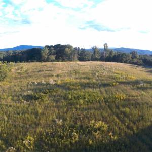 Photo #3 of NC Highway 89, Francisco, NC 11.7 acres