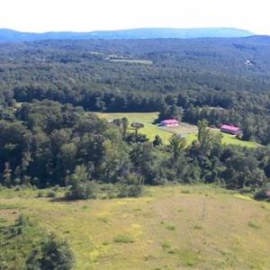Photo #1 of NC Highway 89, Francisco, NC 11.7 acres