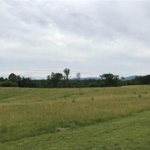 Photo #5 of NC Highway 89, Francisco, NC 11.7 acres