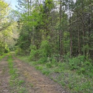 Photo #6 of Hoover Hill, Asheboro, NC 26.6 acres