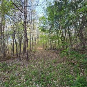 Photo #13 of Hoover Hill, Asheboro, NC 26.6 acres