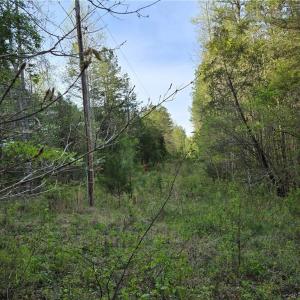 Photo #17 of Hoover Hill, Asheboro, NC 26.6 acres