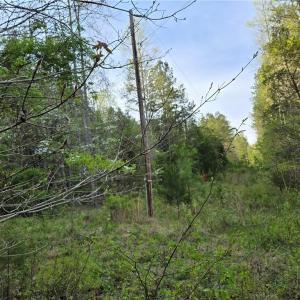 Photo #16 of Hoover Hill, Asheboro, NC 26.6 acres