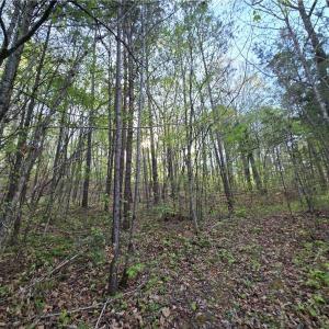 Photo #12 of Hoover Hill, Asheboro, NC 26.6 acres