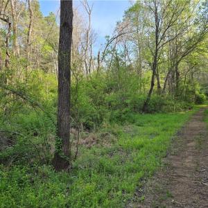 Photo #7 of Hoover Hill, Asheboro, NC 26.6 acres