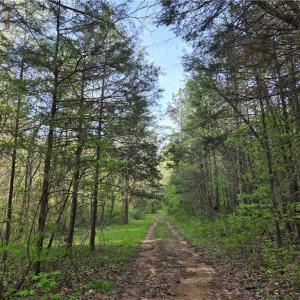 Photo #3 of Hoover Hill, Asheboro, NC 26.6 acres