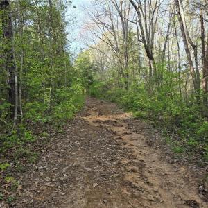 Photo #1 of Hoover Hill, Asheboro, NC 26.6 acres