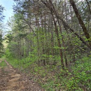 Photo #5 of Hoover Hill, Asheboro, NC 26.6 acres