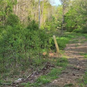 Photo #20 of Hoover Hill, Asheboro, NC 26.6 acres