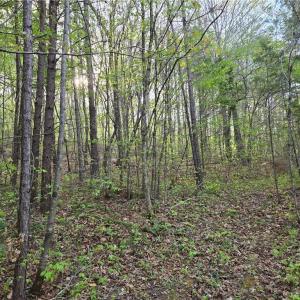 Photo #10 of Hoover Hill, Asheboro, NC 26.6 acres