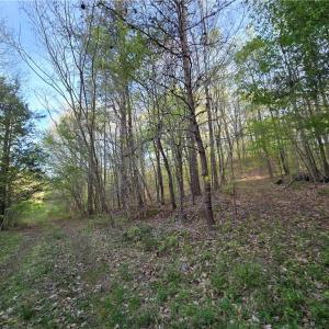 Photo #14 of Hoover Hill, Asheboro, NC 26.6 acres