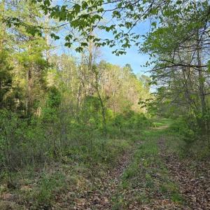 Photo #18 of Hoover Hill, Asheboro, NC 26.6 acres