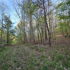 Photo #15 of Hoover Hill, Asheboro, NC 26.6 acres