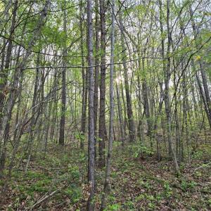 Photo #11 of Hoover Hill, Asheboro, NC 26.6 acres