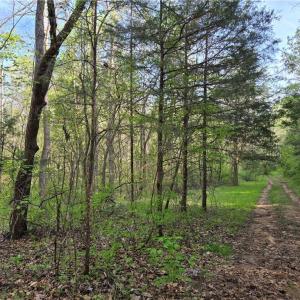 Photo #4 of Hoover Hill, Asheboro, NC 26.6 acres