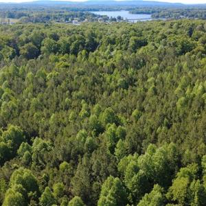Photo #1 of Partridge, Lexington, NC 0.7 acres